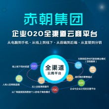 麗江軟件開發(fā)外包服務(wù) 連接古韻與數(shù)字未來的橋梁