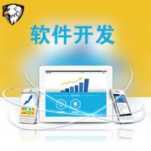 軟件外包服務全解析 報價、收費模式與九品制服務分級